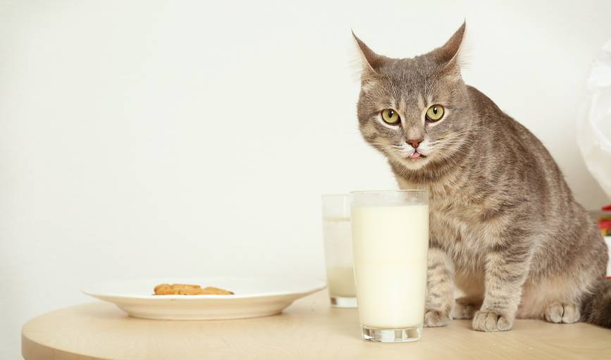 Günlük hayatta doğru bildiğimiz 25 yanlış - Resim: 15